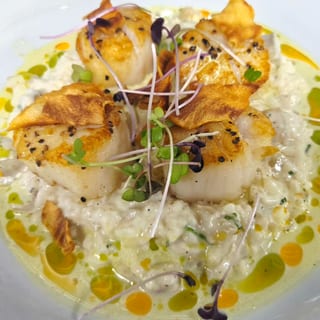 Scallops